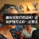 猫咪毛发打结成块？这些护理方式你一定要注意！（图4）