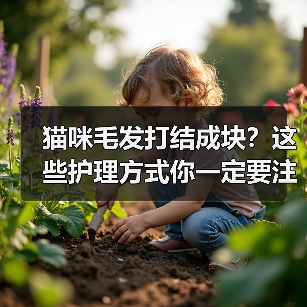 猫咪毛发打结成块？这些护理方式你一定要注意！（图2）