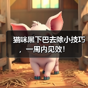 猫咪黑下巴去除小技巧，一周内见效！（图1）