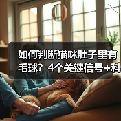 如何判断猫咪肚子里有毛球？4个关键信号+科学检测方法（图3）