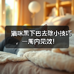猫咪黑下巴去除小技巧，一周内见效！（图4）