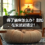 得了猫癣怎么办？别怕，在家就能搞定！（图2）
