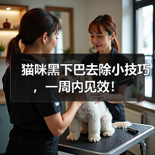 猫咪黑下巴去除小技巧，一周内见效！（图3）