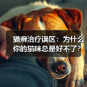 猫癣治疗误区：为什么你的猫咪总是好不了？（图3）