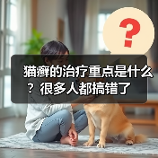 猫癣的治疗重点是什么？很多人都搞错了（图2）