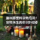 猫咪舔塑料袋有危险！宠物医生教你3步戒掉这个坏习惯（图4）