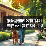 猫咪舔塑料袋有危险！宠物医生教你3步戒掉这个坏习惯（图2）