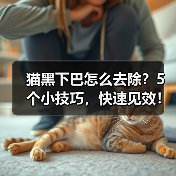 猫黑下巴怎么去除？5个小技巧，快速见效！（图1）