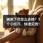 猫黑下巴怎么去除？5个小技巧，快速见效！（图3）