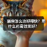 猫癣怎么治好得快？用什么药膏效果好？（图2）