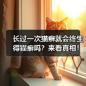 长过一次猫癣就会终生得猫癣吗？来看真相！（图2）