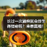 长过一次猫癣就会终生得猫癣吗？来看真相！（图4）