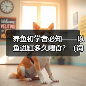 养鱼初学者必知——以鱼进缸多久喂食？（饲养新手必备知识，喂食频率关键解析！）