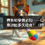 养鱼初学者必知——以鱼进缸多久喂食?(饲养新手必备知识,喂食频率关键解析!)(图3) 养鱼初学者必知——以鱼进缸多久喂食?(饲养新手必备知识,喂食频率关键解析!)(图3)