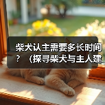 柴犬认主需要多长时间?(探寻柴犬与主人建立深厚关系的时程及关键因素)(图3) 柴犬认主需要多长时间?(探寻柴犬与主人建立深厚关系的时程及关键因素)(图3)