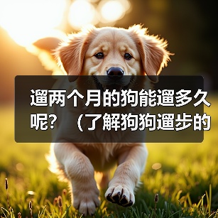 遛两个月的狗能遛多久呢?(了解狗狗遛步的时间需求和注意事项)(图3) 遛两个月的狗能遛多久呢?(了解狗狗遛步的时间需求和注意事项)(图3)