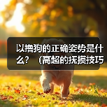 以撸狗的正确姿势是什么?(高超的抚摸技巧让它爱上你)(图2) 以撸狗的正确姿势是什么?(高超的抚摸技巧让它爱上你)(图2)