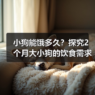 小狗能饿多久?探究2个月大小狗的饮食需求(解析小狗饥饿感的持续时间及影响因素)(图2) 小狗能饿多久?探究2个月大小狗的饮食需求(解析小狗饥饿感的持续时间及影响因素)(图2)