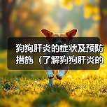 狗狗肝炎的症状及预防措施(了解狗狗肝炎的常见症状,保护它们的健康)(图2) 狗狗肝炎的症状及预防措施(了解狗狗肝炎的常见症状,保护它们的健康)(图2)
