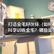 打造金毛好伙伴（如何科学训练金毛？哪些奖励适合金毛？让你的宠物更聪明）（图3）