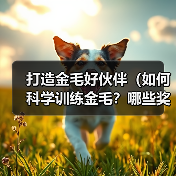 打造金毛好伙伴（如何科学训练金毛？哪些奖励适合金毛？让你的宠物更聪明）