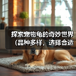 探索宠物龟的奇妙世界（品种多样，选择合适的宠物龟）（图3）