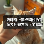 猫咪身上黑点颗粒的来源及处理方法（了解黑点颗粒的成因，让猫咪健康快乐）