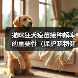 猫咪狂犬疫苗接种频率的重要性（保护宠物健康，合理安排疫苗接种时间）（图2）