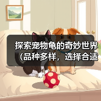 探索宠物龟的奇妙世界（品种多样，选择合适的宠物龟）（图4）