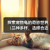 探索宠物龟的奇妙世界（品种多样，选择合适的宠物龟）（图2）