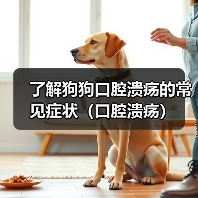 了解狗狗口腔溃疡的常见症状(口腔溃疡)(图4) 了解狗狗口腔溃疡的常见症状(口腔溃疡)(图4)