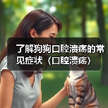 了解狗狗口腔溃疡的常见症状（口腔溃疡）