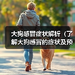 大狗感冒症状解析(了解大狗感冒的症状及预防措施)(图4) 大狗感冒症状解析(了解大狗感冒的症状及预防措施)(图4)