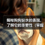 揭秘狗狗缺水的表现,了解它的重要性(掌握狗狗缺水的迹象,保护它的健康)(图2) 揭秘狗狗缺水的表现,了解它的重要性(掌握狗狗缺水的迹象,保护它的健康)(图2)