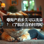 母狗产后多久可以洗澡？（了解适当的时间和方式，呵护新妈妈的健康）