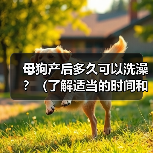 母狗产后多久可以洗澡？（了解适当的时间和方式，呵护新妈妈的健康）（图4）