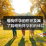 母狗怀孕的症状及其（了解母狗怀孕时的体征和表现）