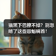 猫黑下巴擦不掉？别忽略了这些罪魁祸首！（图2）