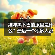 猫咪黑下巴的原因是什么？最后一个很多人都忽略了！（图1）