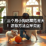 三个月小狗吃屎危害大！这些方法立竿见影（图1）