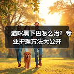 猫咪黑下巴怎么治？专业护理方法大公开（图2）