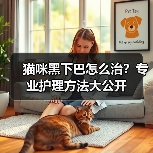猫咪黑下巴怎么治？专业护理方法大公开（图4）