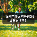猫癣用什么药最有效？成分党揭秘！（图3）
