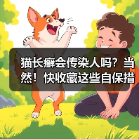 猫长癣会传染人吗？当然！快收藏这些自保措施！（图1）