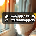 猫长癣会传染人吗？当然！快收藏这些自保措施！（图3）