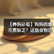 【养狗必看】狗狗微量元素缺乏？这些食物迅速补充！（图1）
