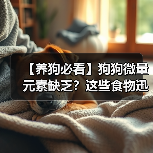 【养狗必看】狗狗微量元素缺乏？这些食物迅速补充！（图4）