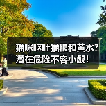 猫咪呕吐猫粮和黄水？潜在危险不容小觑！（图3）