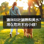 猫咪呕吐猫粮和黄水？潜在危险不容小觑！（图2）