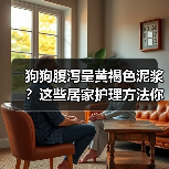 狗狗腹泻呈黄褐色泥浆?这些居家护理方法你试过了吗?(图2) 狗狗腹泻呈黄褐色泥浆?这些居家护理方法你试过了吗?(图2)